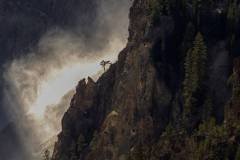 2024Q4Landscp-B-Jessica-Cheung-Cliff